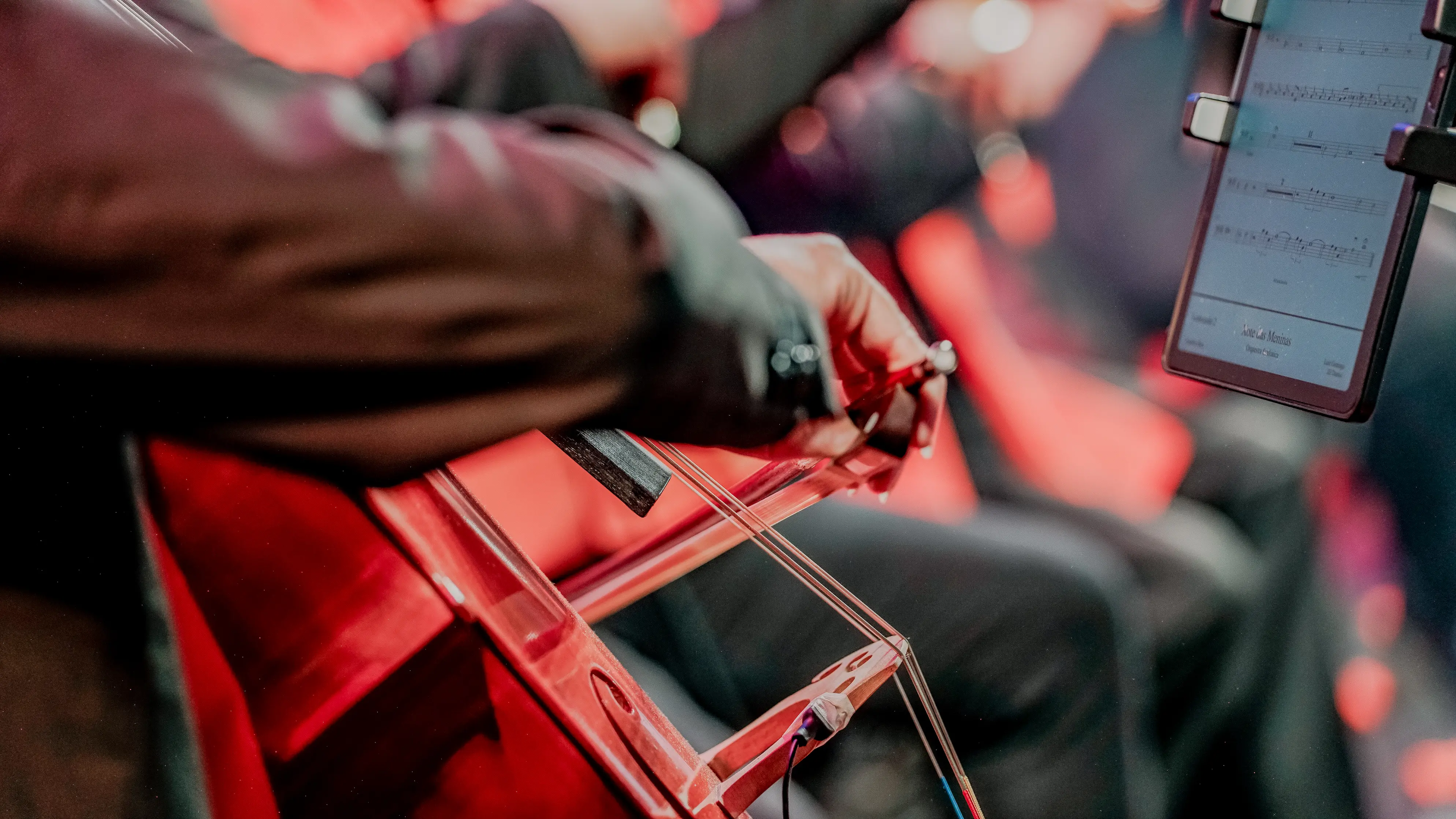 Orquestra de sanfonas em apresentação no palco